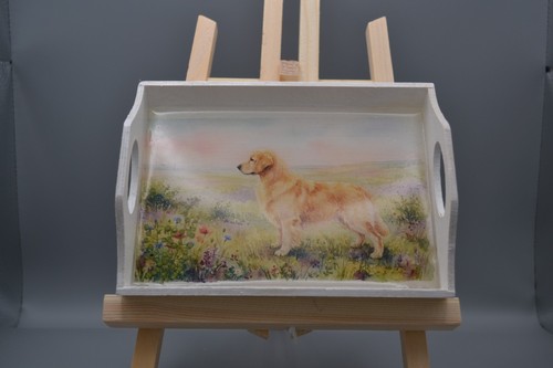 Golden retriever dog - golden,